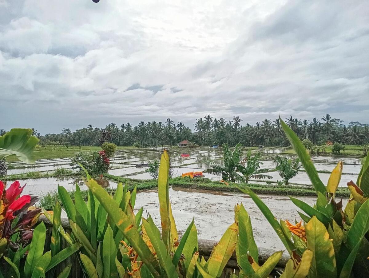 Nyoman Sandat House 1 Ubud  Exterior photo
