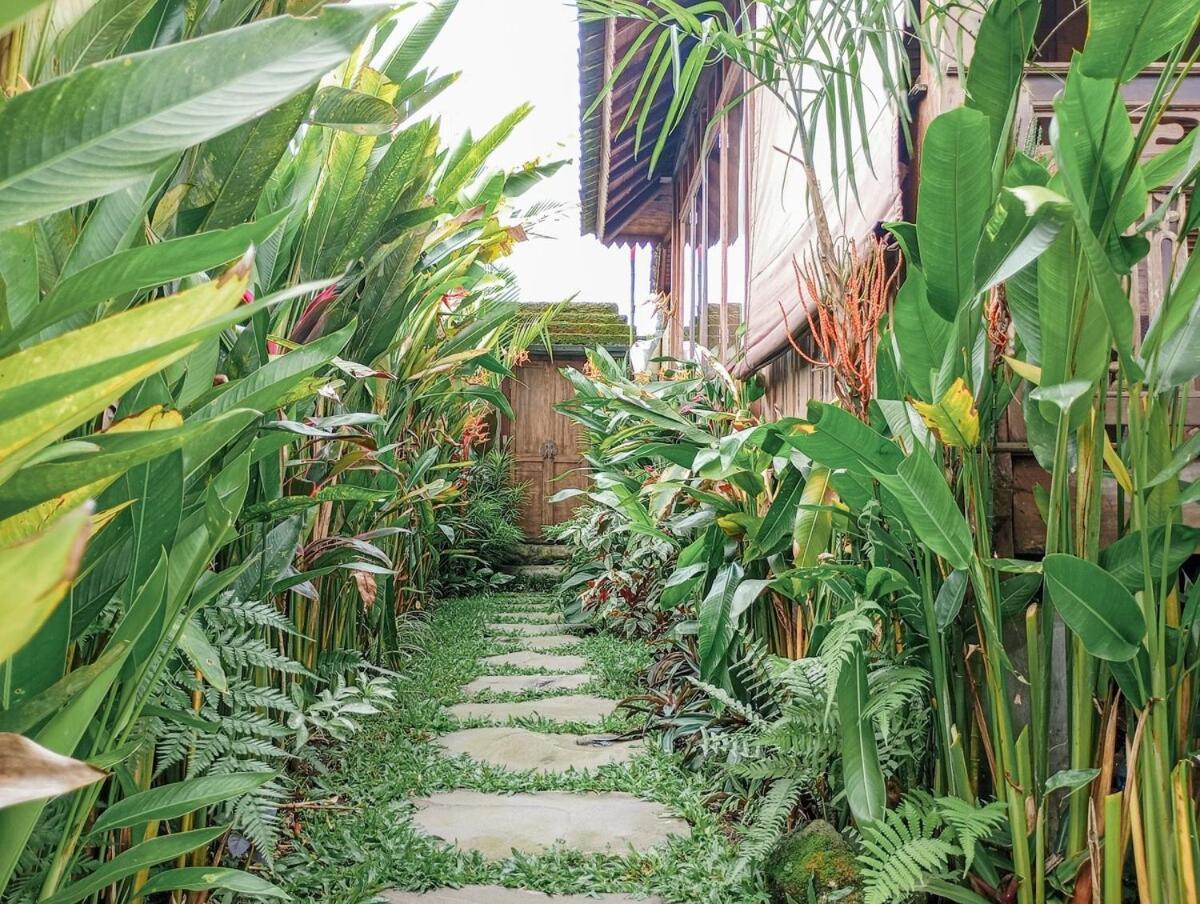 Nyoman Sandat House 1 Ubud  Exterior photo