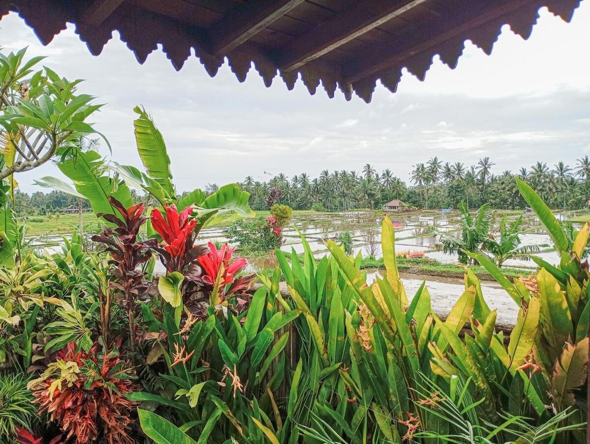 Nyoman Sandat House 1 Ubud  Exterior photo